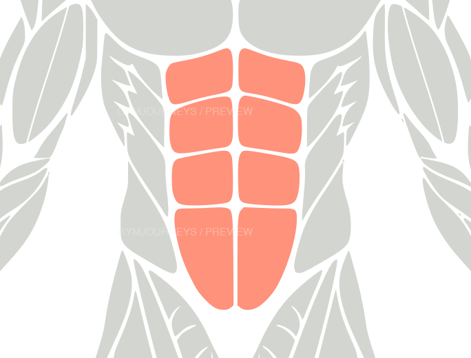 Abs, body context icons, coral