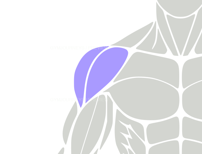 Shoulders, body context icons, purple
