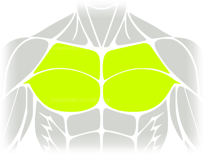 Chest body-context muscle icon