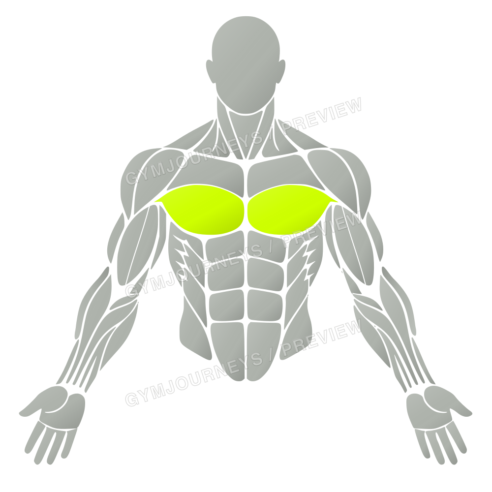 Additional muscle region preview